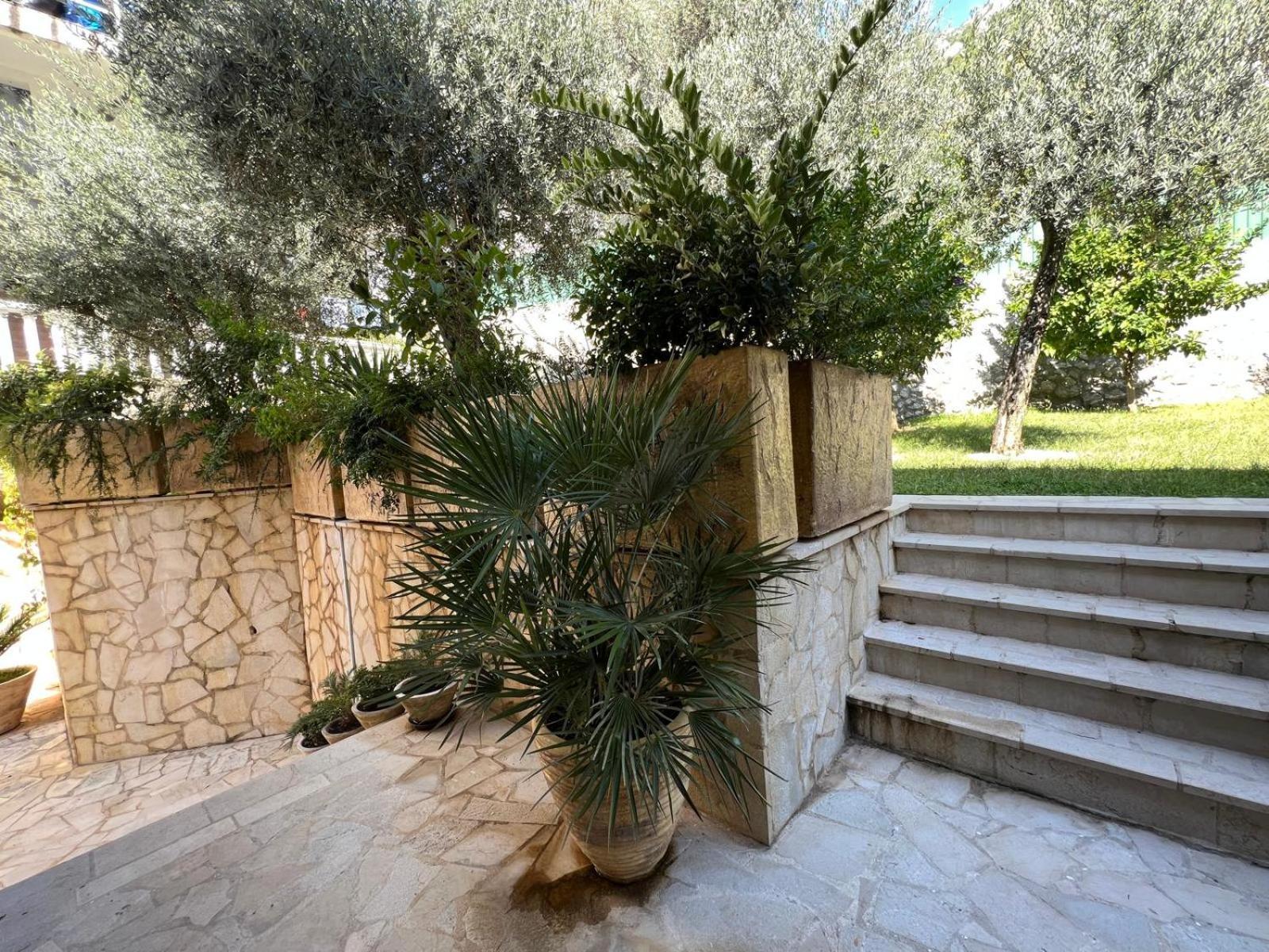 Olive Rezevici