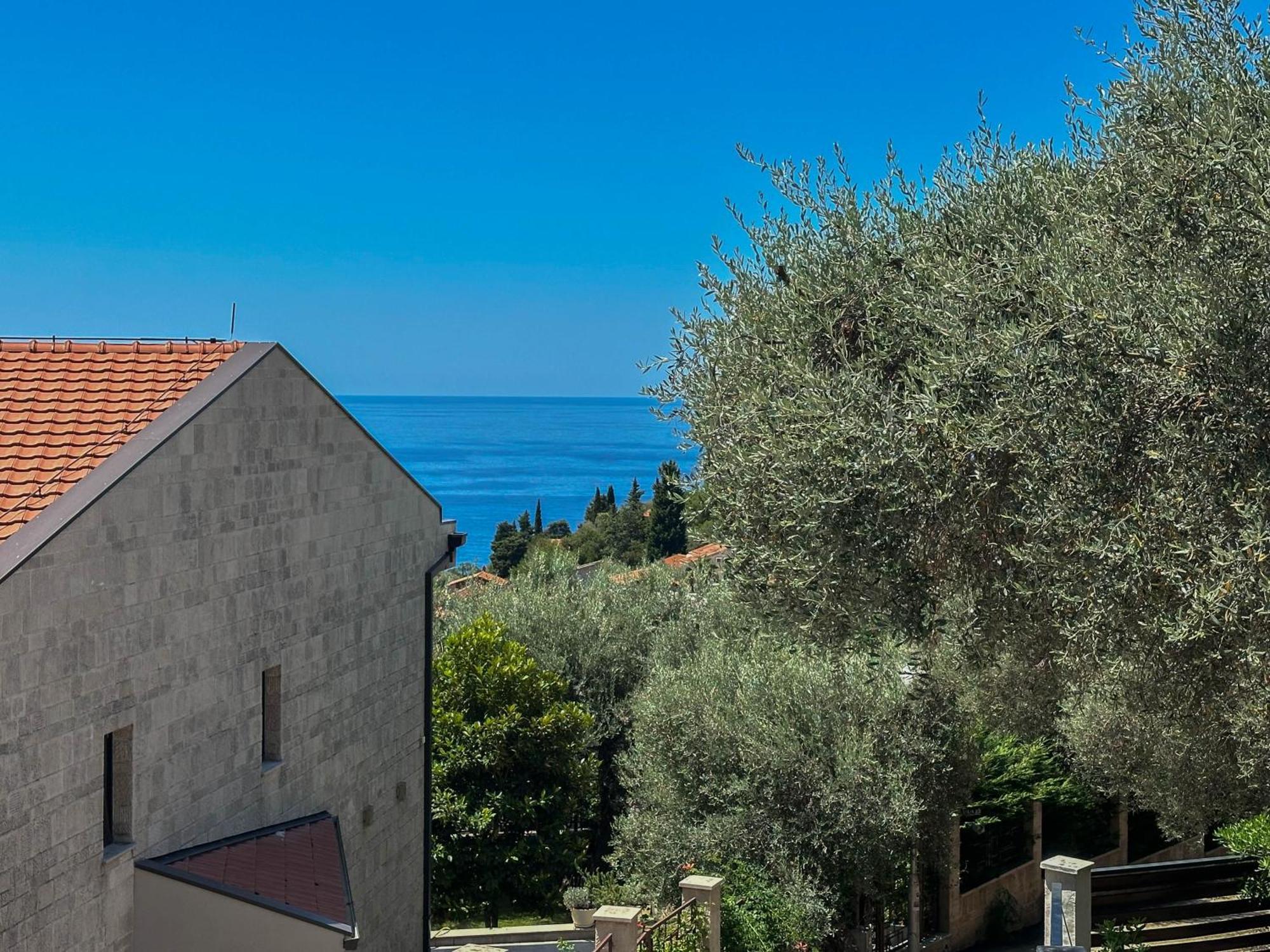 Pensionat Olive Rezevici